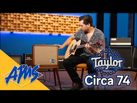 Taylor Circa 74 2-Channel 150-Watt 1x10" Acoustic Guitar / Vocal Combo with Stand 2024 - Present - Natural Mahogany image 11
