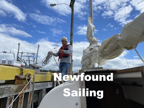 EP 8 : Solo Sail -  Solo Whale