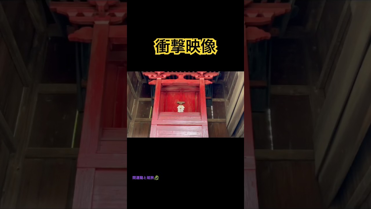 【衝撃映像】この動画に引き寄せられたあなた‼️運命のご縁があります#shorts