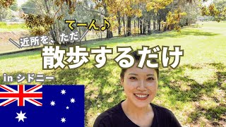オーストラリアの緑をお届けしたい。公園行こうとしたら道間違えました。