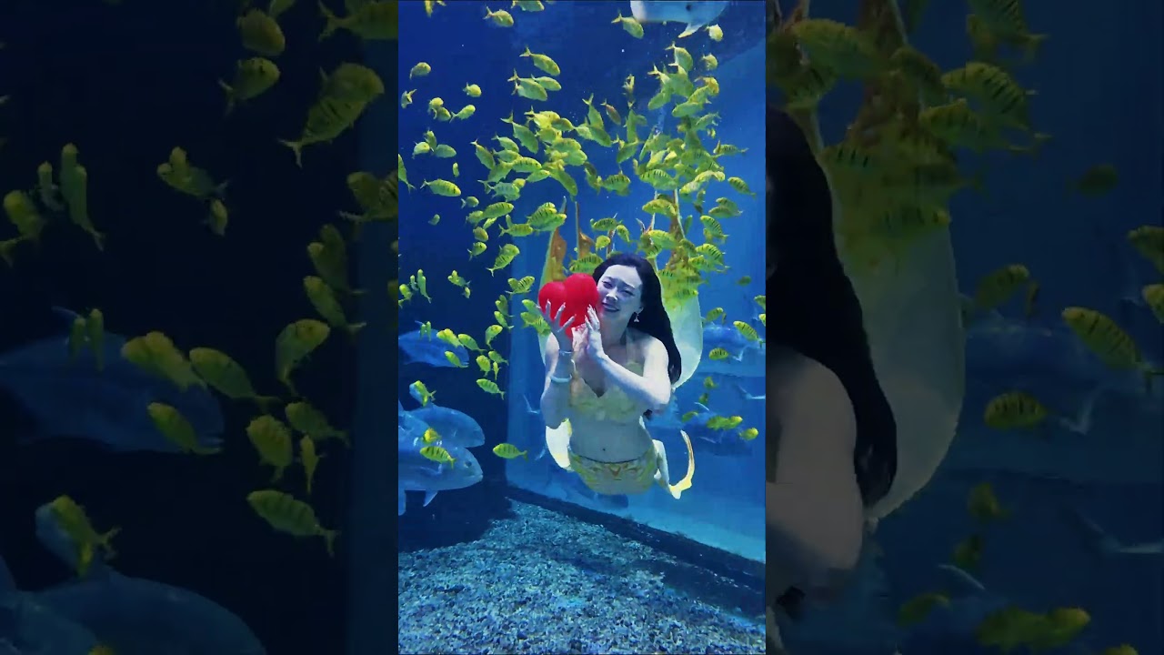 Learn from the little yellow croaker, and remember your troubles for only seven seconds DY 黃小璐美人鱼