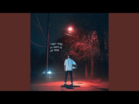 I Don't Think We Landed on the Moon