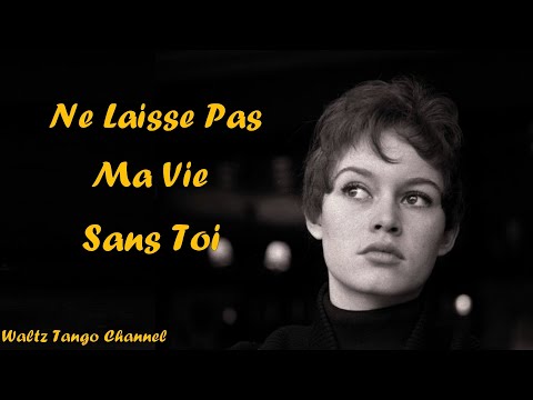 Best Romantic French Love Melodies  -  Petite Fleur Collection