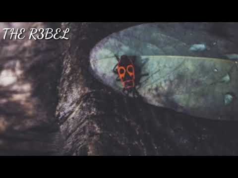 Alan Walker Style ,THE R3BEL ft. Ane Flem - Zombie (The Cranberries Cover) ( 256kbps cbr )