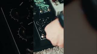 Some more Daily Driver tones just for fun…