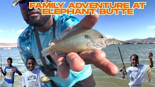 Fishing Trip Gone Wrong – I Lost My GoPro Footage! 🎣 (Family Adventure at Elephant Butte) #fishing