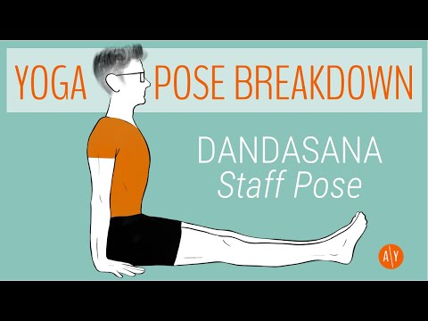 Yoga Pose Breakdown | Dandasana (aka Staff Pose) | Adventure Yoga with Stephen Ewashkiw