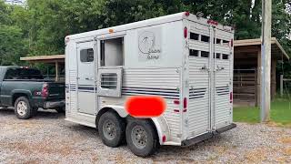 Episode 85 - Thoroughbred X Friesian Cross On The Way??