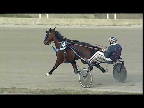 Napoli Trotto 10/02/2023 - 5ª corsa