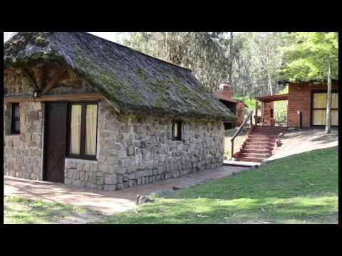 La Colonia   Cooperativa Artigas