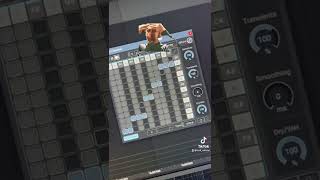 Sparkly Liquid Magic recipe with ReTune by Zplane #schoolofbass