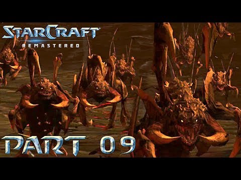 Let's Play StarCraft Remastered Deutsch #09 - Zerg beschützen