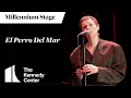 El Perro Del Mar - Millennium Stage (March 29, 2024) - The Kennedy Center El Perro Del Mar - Millennium Stage (March 29, 2024)