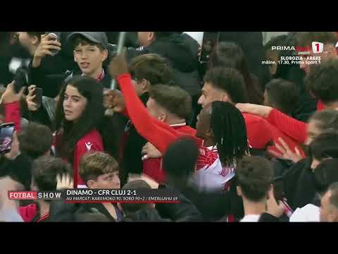 Nebunie pe Arena Naţională. Fanii lui Dinamo au intrat pe teren şi s-au bucurat cu jucătorii