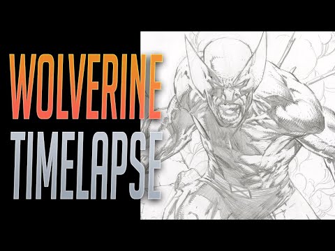 Wolverine Timelapse