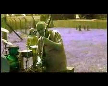 Agora video