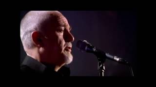 Peter Gabriel - Washing of the Water (New Blood)