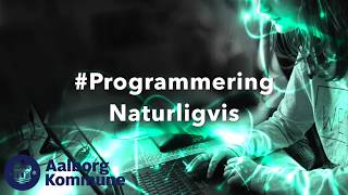 Hvad laver en programmeringsguide egentlig?