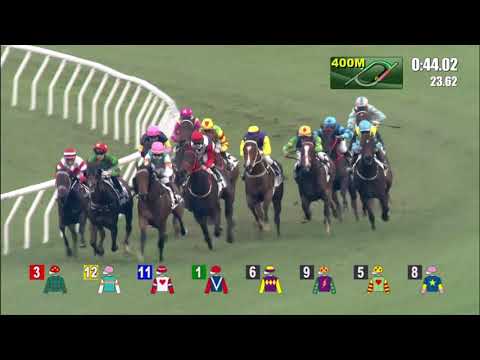 2/5/2021 (641) Decisive Twelve - A Badel