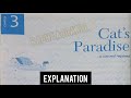 Cat's Paradise - Full Hindi Explanation. Class 6 - English - New Images - Chapter 3