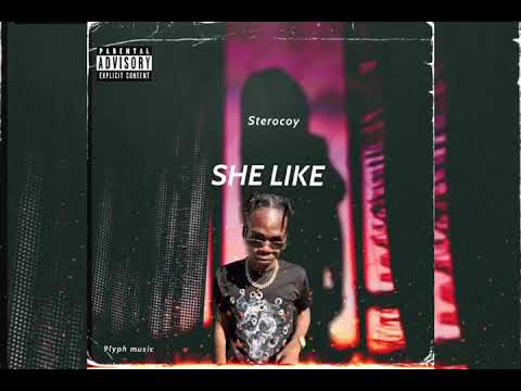 Sterocoy - She Like (Official Audio)