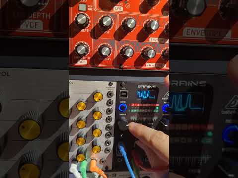 Raw sound test of the Behringer Brains - eurorack modular synthesizer