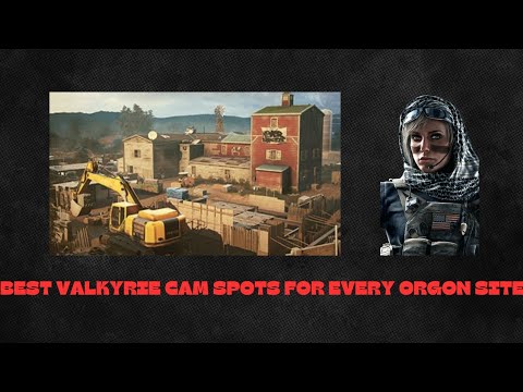 The BEST valkyrie cams for every OREGON Site