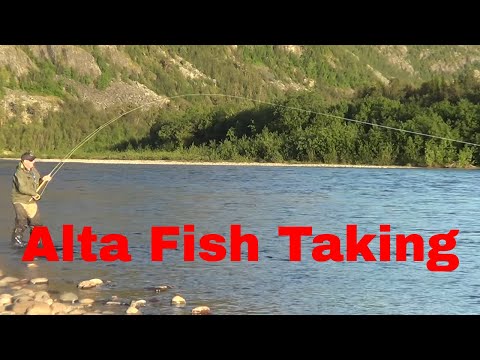 Epic Salmon take on Norway's Legendary Alta River