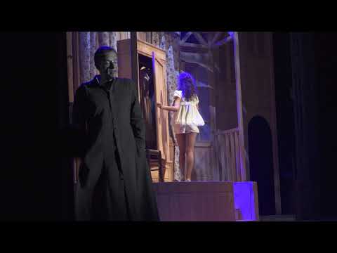 Anteprima video