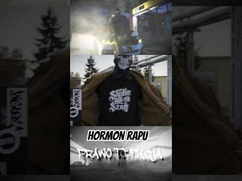 KamyK - Prawo to Fikcja #shorts  #polska #rap #hiphop #hormonrapu