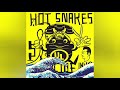 The Hot Snakes - "Why Does It Hurt?" (2002) ["Suicide Invoice"].