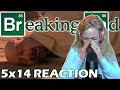 OZYMANDIAS! | Breaking Bad 5x14 Reaction and Review | First time watching!