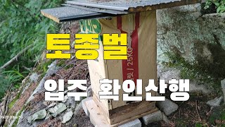 2025년 5월 17일 토종산벌 사각벌통 입주확인 산행  토종벌키우기