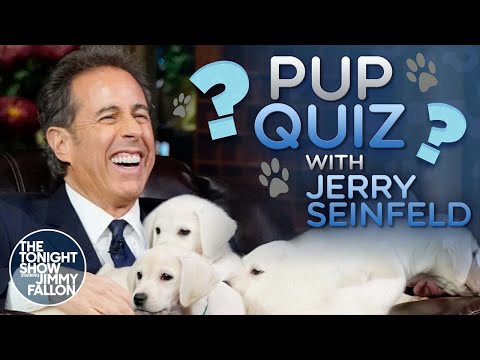 Pup Quiz with Jerry Seinfeld | The Tonight Show Starring Jimmy Fallon