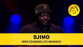 Download lagu Djimo - Bon courage les animaux mp3