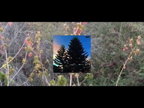 Bones & Drew The Architect - you are missing the point [legendado]