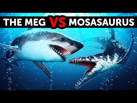 What If Megalodon Met a Giant Sea Monster