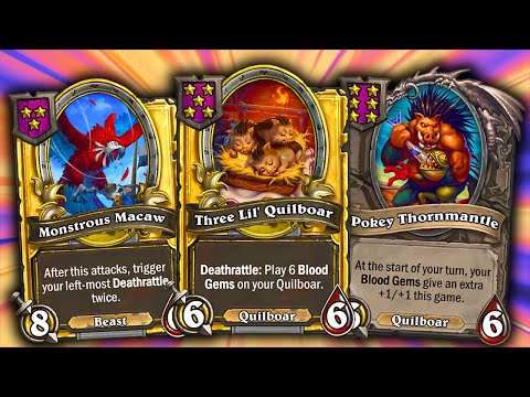 UNIQUE QUILBOAR STRATEGY! Three Lil' Quilboar & Macaw & Titus | Season 9 | Hearthstone Battlegrounds