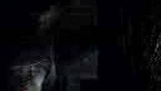 SIR LANCELOT (PURO BACALAO DIJEY)