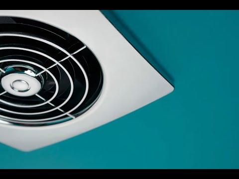 How to Get Rid of Bathroom Fungus