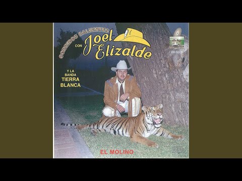 download lagu mp3 mp4 Los Hermanos Coronel, download lagu Los Hermanos Coronel gratis, unduh video klip Los Hermanos Coronel