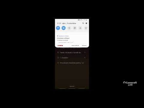 VIITORUL PANDURII TG.JIU-PETROLUL PLOIESTI.LIVE VIDEO