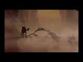Lion King Gnu Running