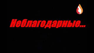 Неблагодарные...