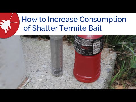  How to Increase Consumption of Shatter Termite Bait Video 