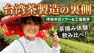 台湾茶ってこんなに手間かかってたの？台湾茶畑＆工場の裏側全部見せます｜坪林半日ツアー feat.迪化街茶苑