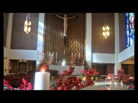 Missa do Natal do Senhor - Homilia