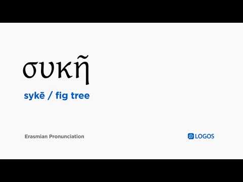 How to pronounce Sykē in Biblical Greek - (συκῆ / fig tree)