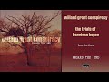 Willard Grant Conspiracy - Trials of Harrison Hayes (Official Audio)