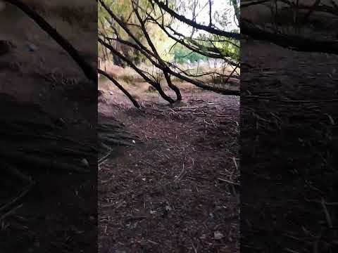 Río Mayo Chubut Argentina